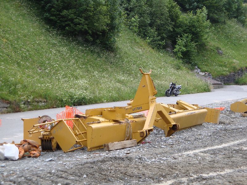 cat 594  (35).jpg