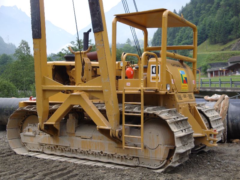 cat 594  (36).jpg