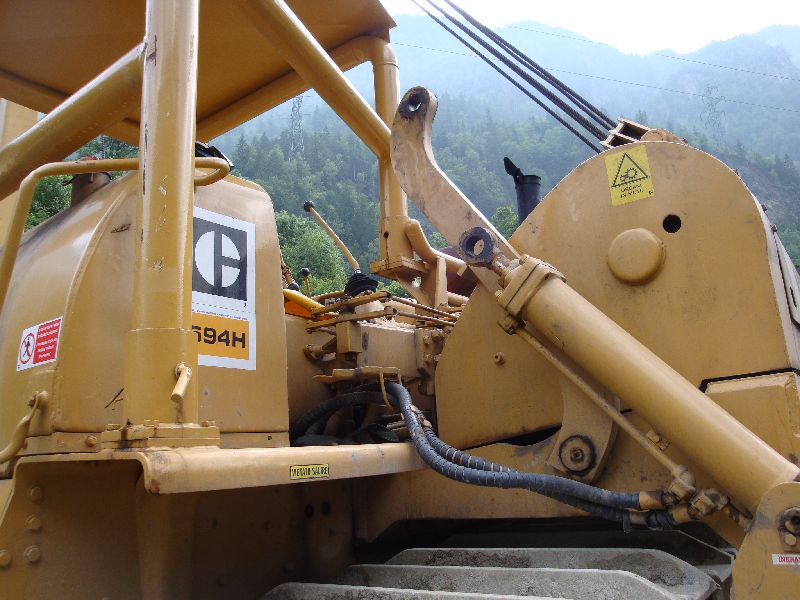 cat 594  (38).jpg