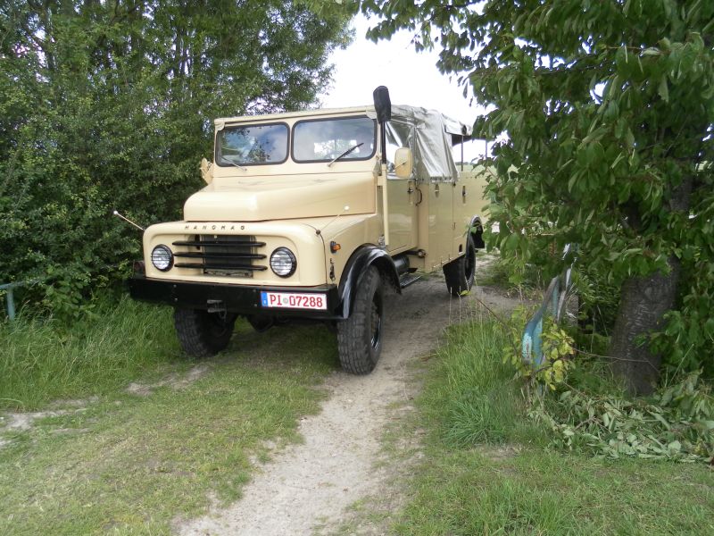 SAM_0600.jpg