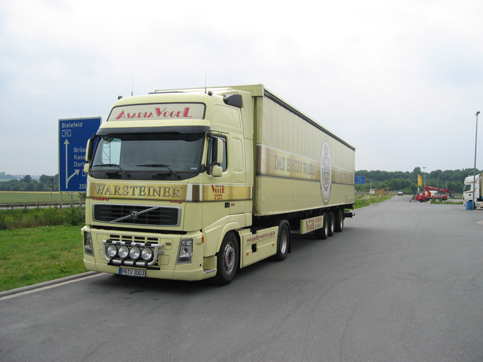 Volvo-FH-12-vogel.jpg