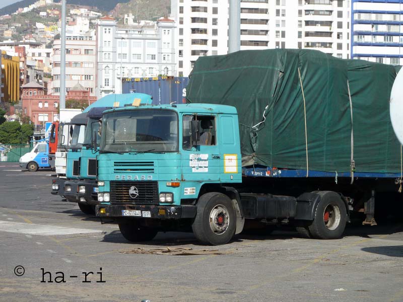 Pegaso Tenerifa 3-2011 Kopie.jpg