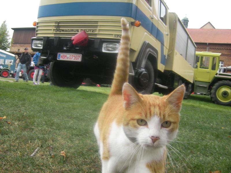 k-Oldtimer Fulda Hamarz 18.09.2011 075.jpg