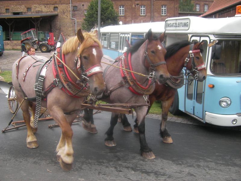 k-Oldtimer Fulda Hamarz 18.09.2011 097.jpg
