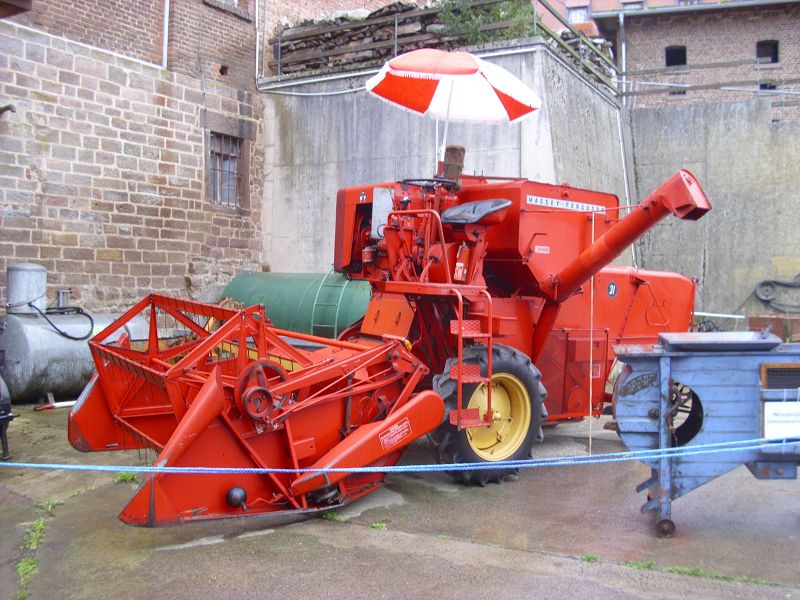 k-DSCI2117.jpg