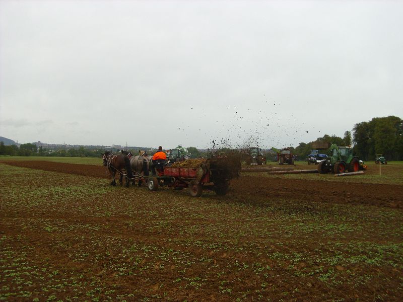 k-DSCI2123.jpg