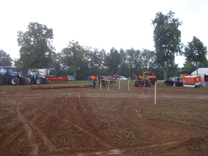 k-DSCI2173.jpg