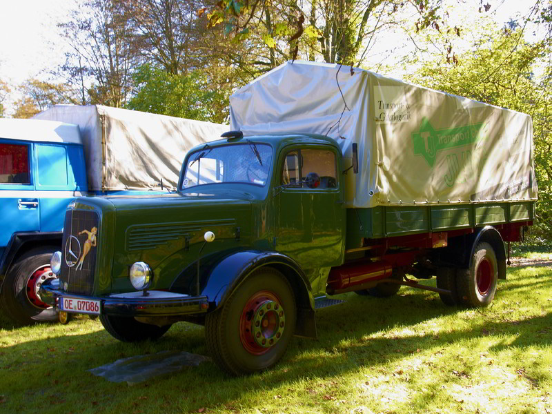 DSC_0156.jpg