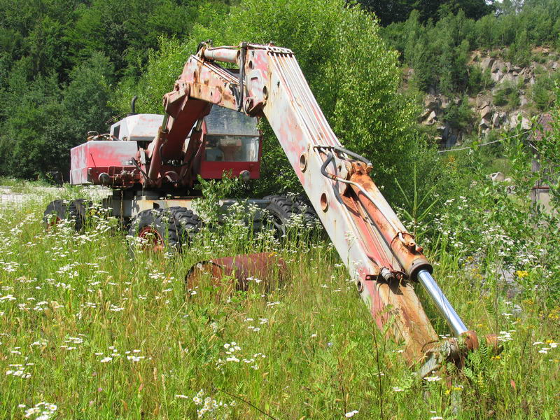 Bild 175.jpg