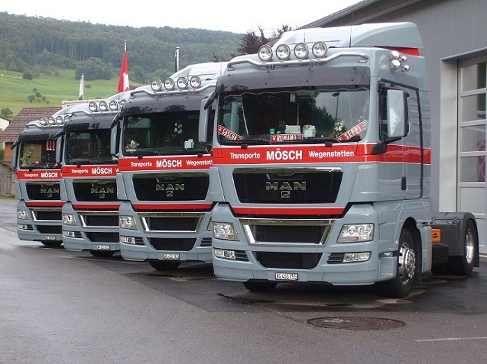 LKW TGX Sommer 08 008.jpg