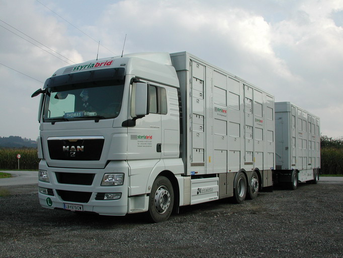 MAN TGX 26.440 Geflügel LKW Styriabird LB979CW.jpg