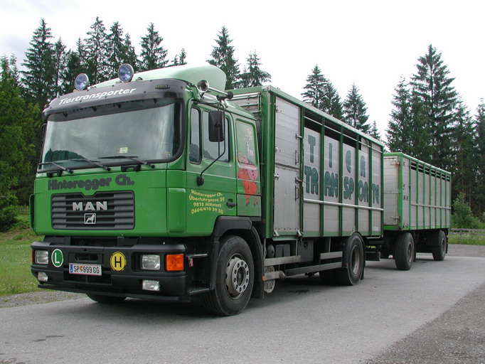 MAN Viehtransporterhängerzug Hinteregger SP999GG.jpg