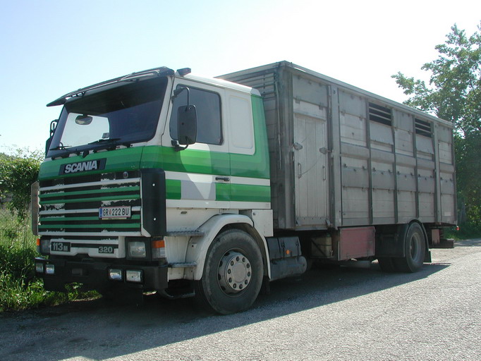 Scania 113M.320 Viehtranporter GR222BU.jpg