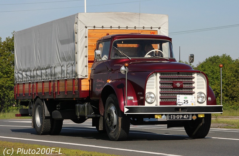 comp_IMG_6087.jpg