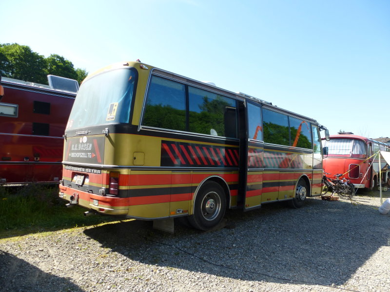 P1010445_1_1.jpg
