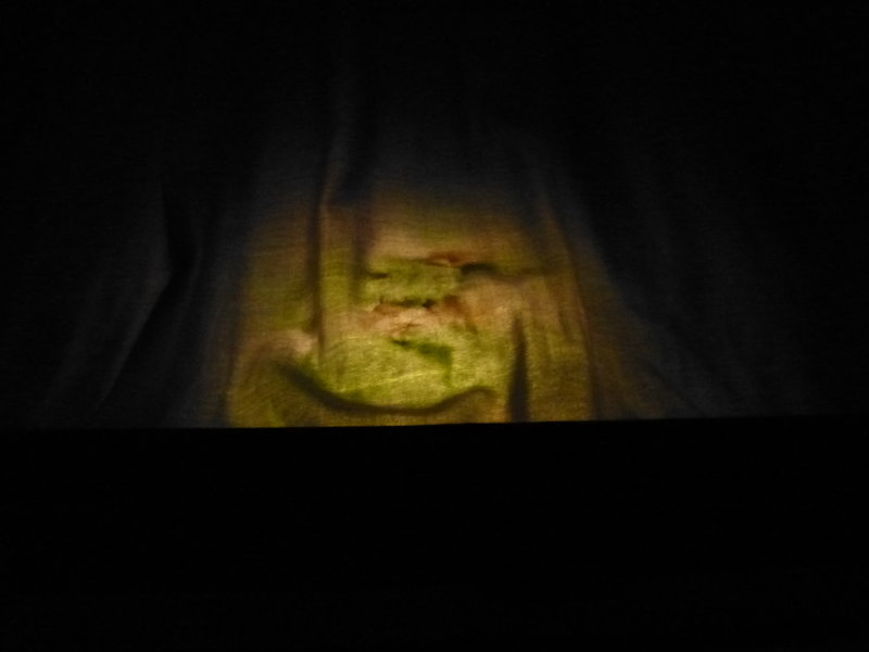 P1010515_1.jpg