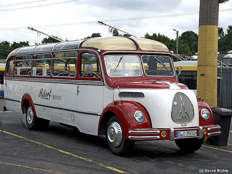 DSC_4064.jpg