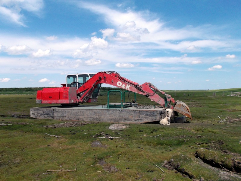 1111b.jpg