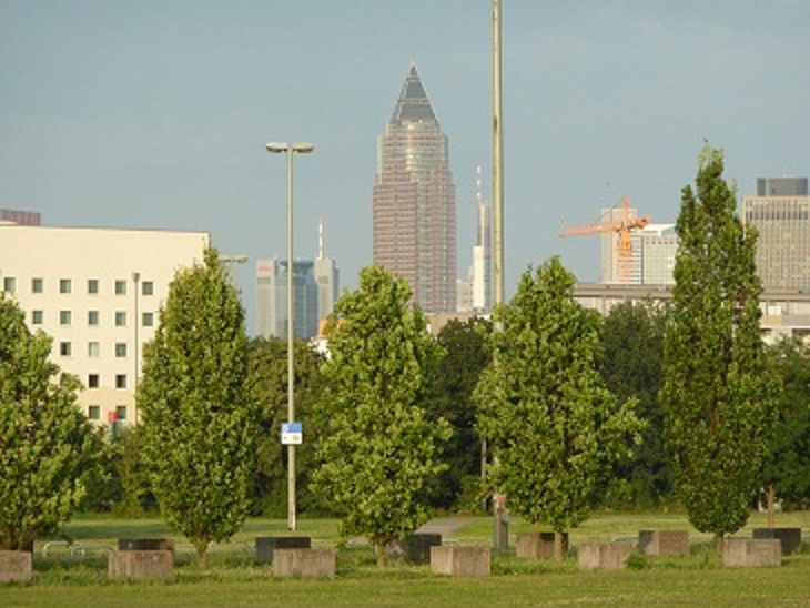 P1030871.jpg