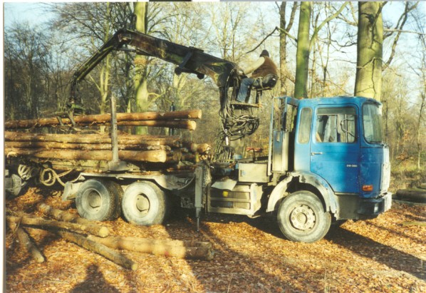 holz01.jpg