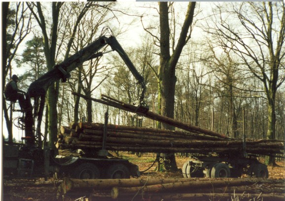 holz05.jpg