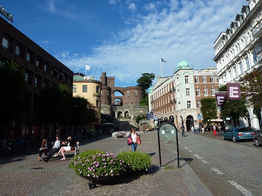 P1000675.jpg