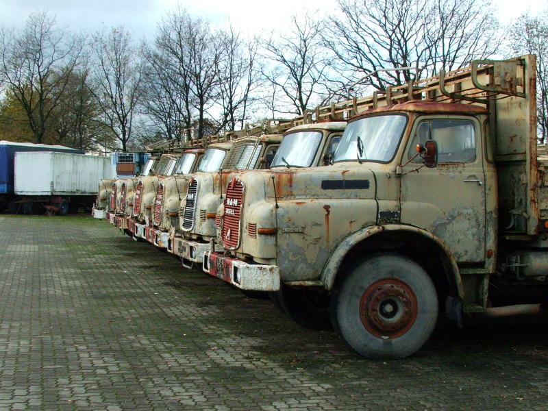 MAN Hauber Alga-Euromodell11-21-2005 583 (2).jpg