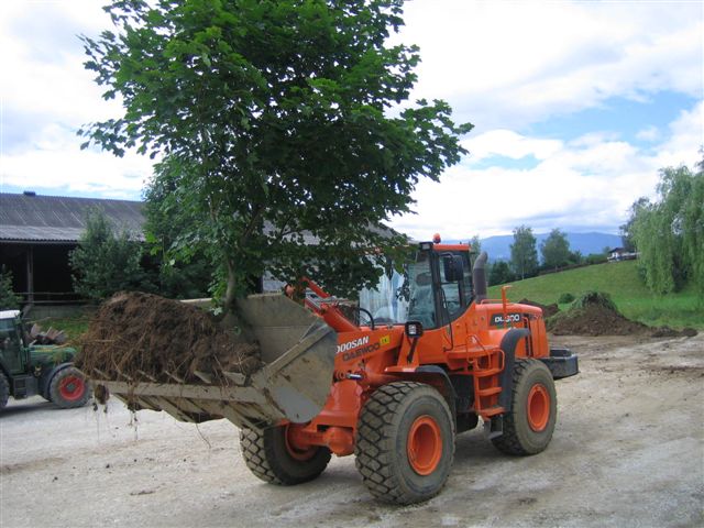 Bild 308.jpg