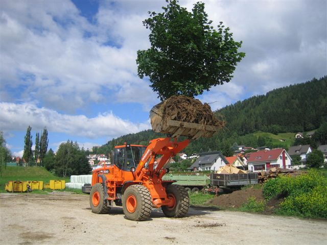 Bild 315.jpg