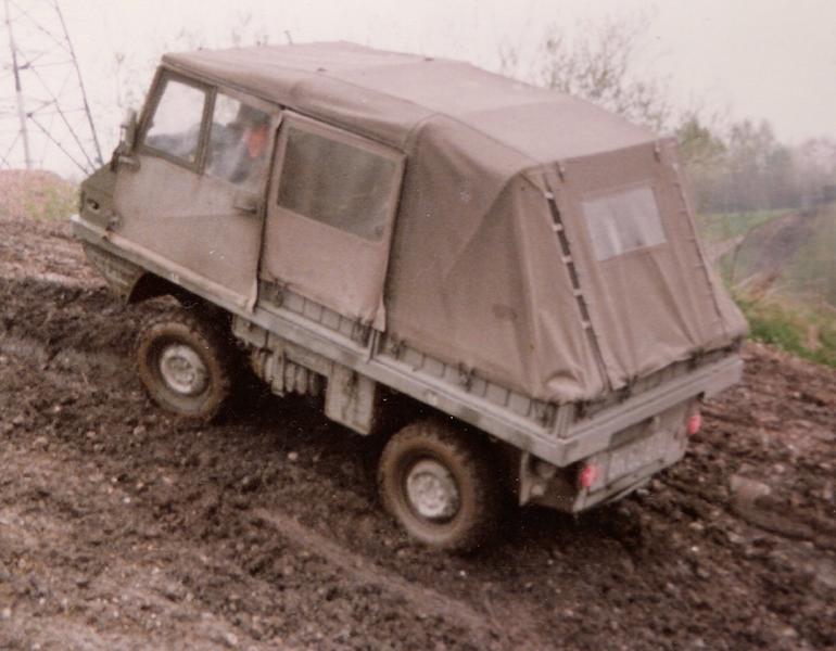 Haflinger.jpg