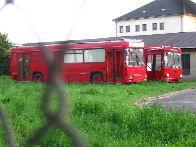 alte ESG Busse Sept 2009.jpg