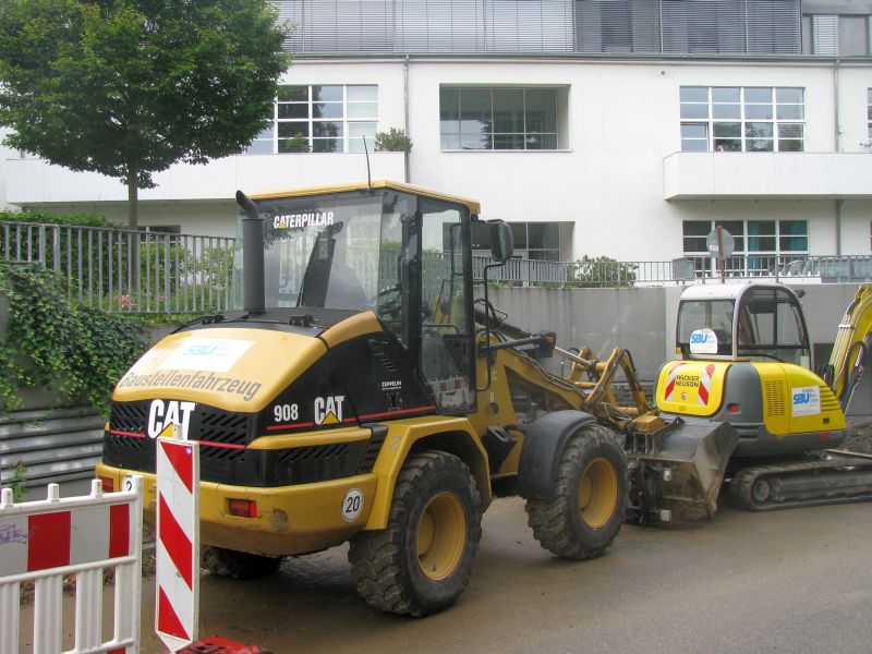 cat 908.jpg