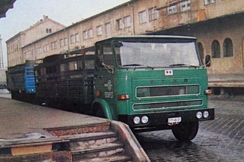 volan star.jpg