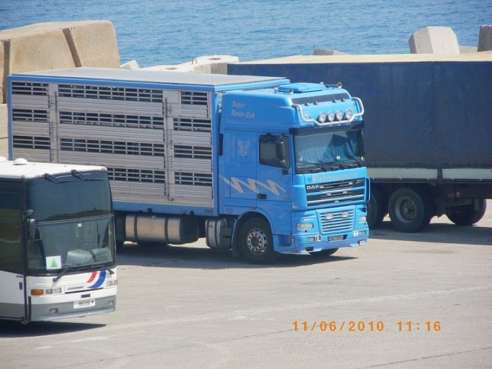 DAF 6.jpg
