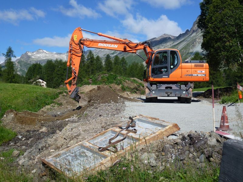 buume pfluume 214.jpg