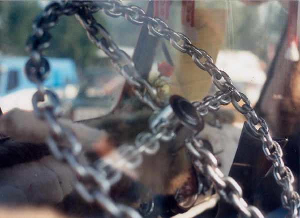 19820002_600x600_195KB.jpg