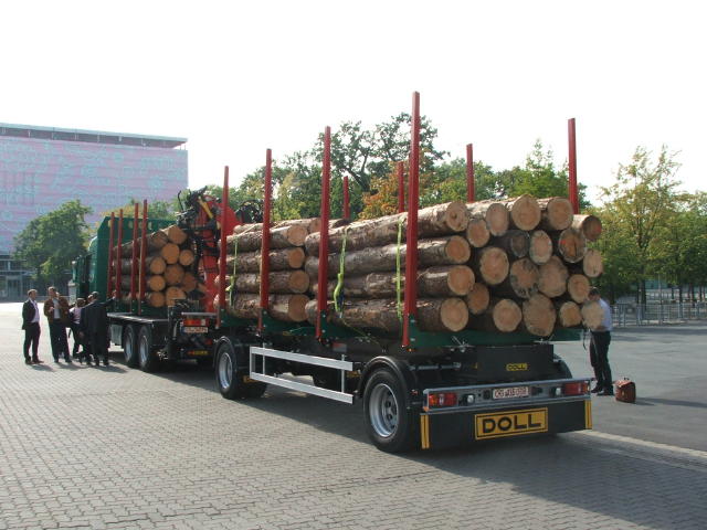 Actros MP2 Holzlaster 003.jpg