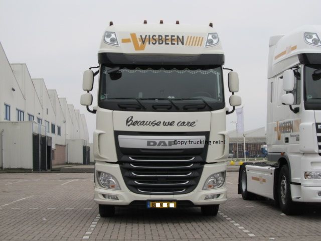 Daf Euro6 Visbeen.jpg