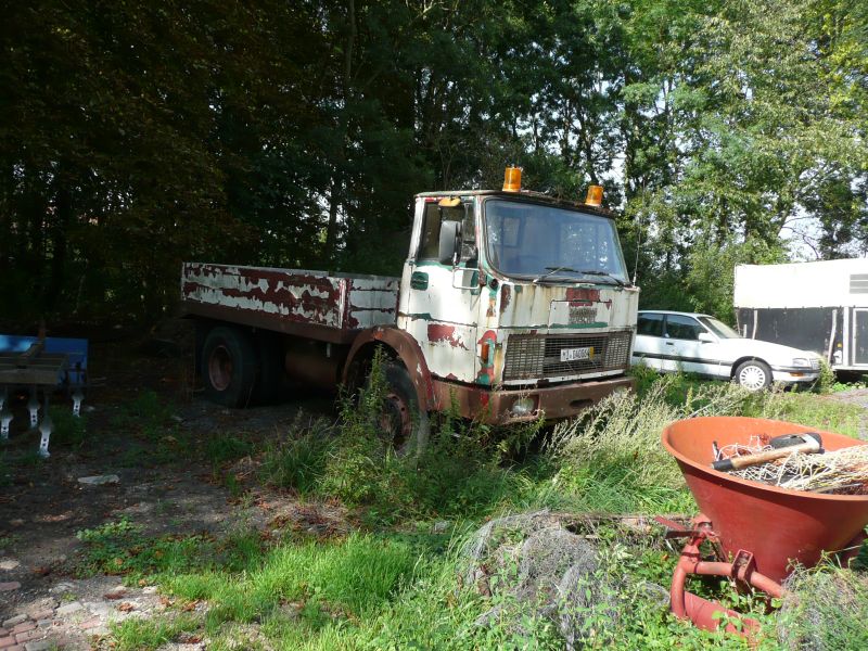 h1.jpg