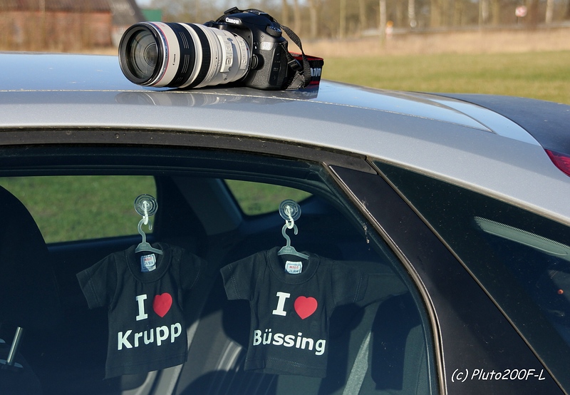 comp_IMG_3881.jpg