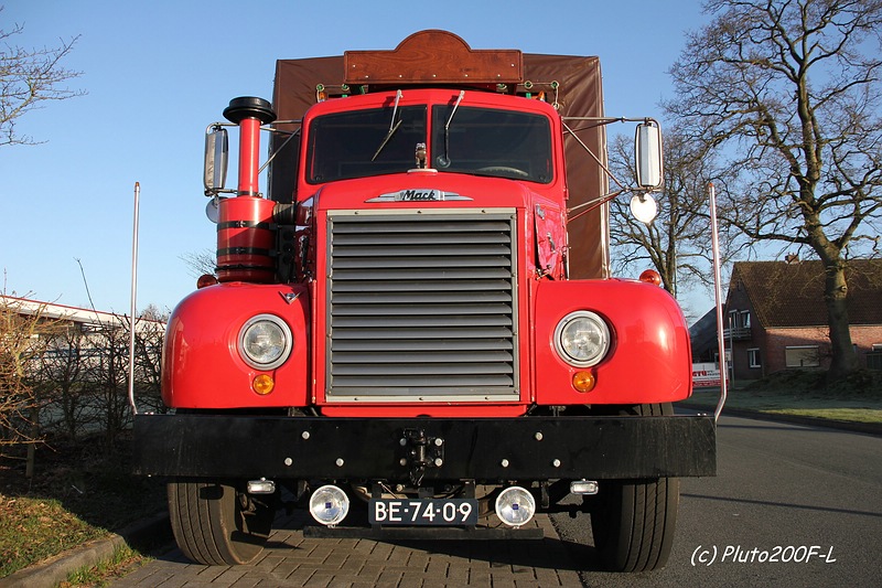 comp_IMG_3875.jpg