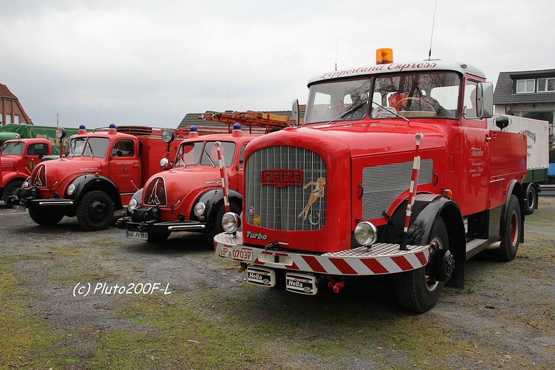 comp_IMG_1264.jpg