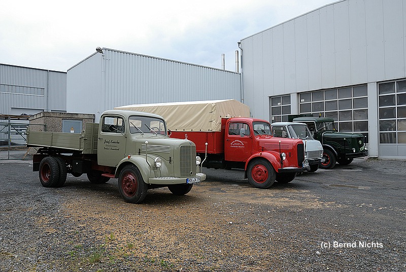 Dingwerth 2013_613.jpg