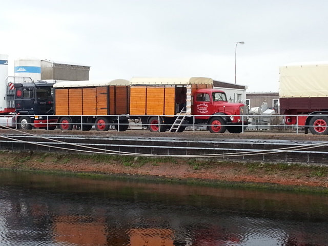 20130511_160151 (FILEminimizer).jpg