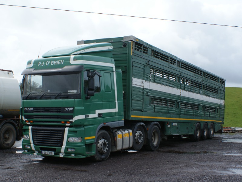 DAF XF O`Brien.jpg