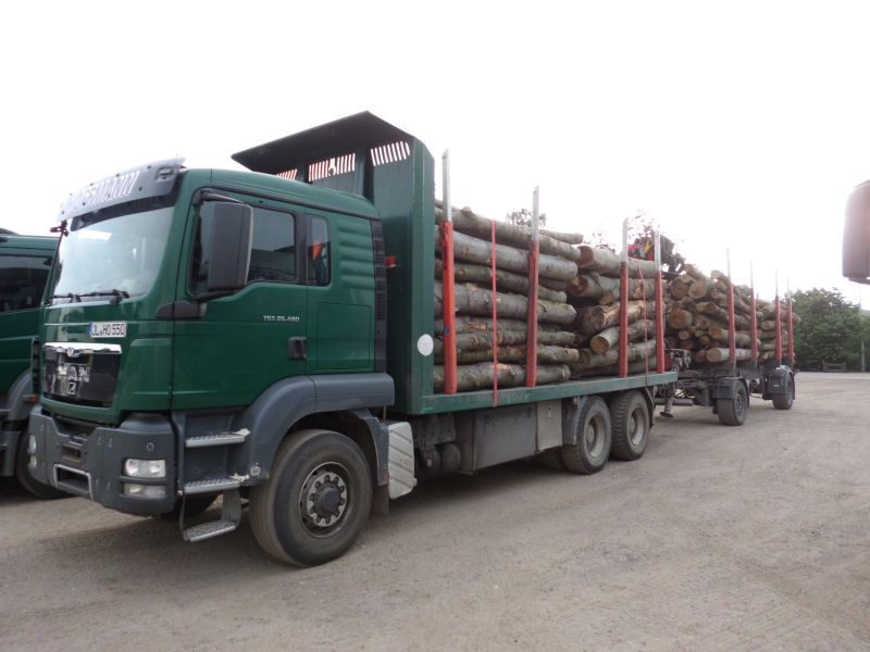tgs26480.jpg