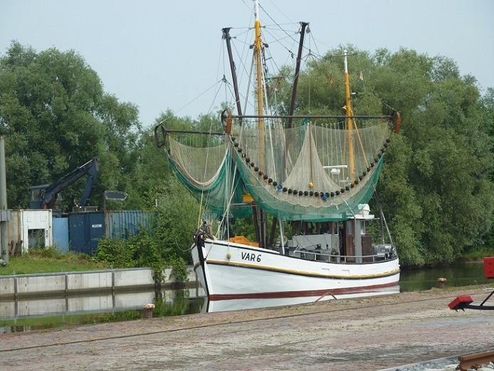 P1050134.jpg