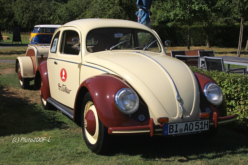 comp_IMG_7220.jpg
