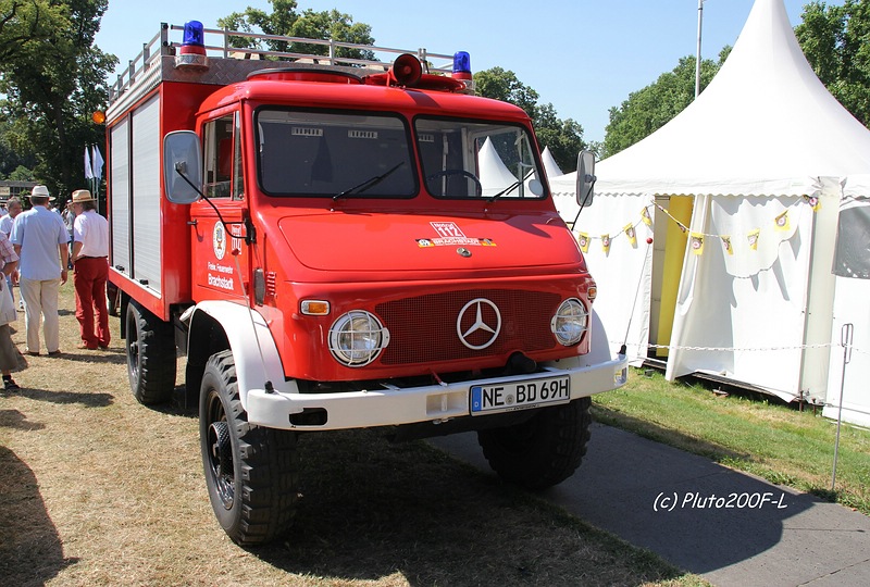 comp_IMG_7320.jpg