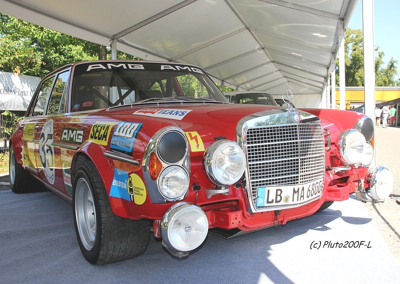 comp_IMG_7292.jpg